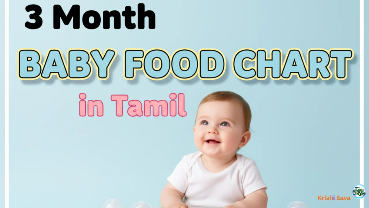 3 Month Baby Food Chart In Tamil